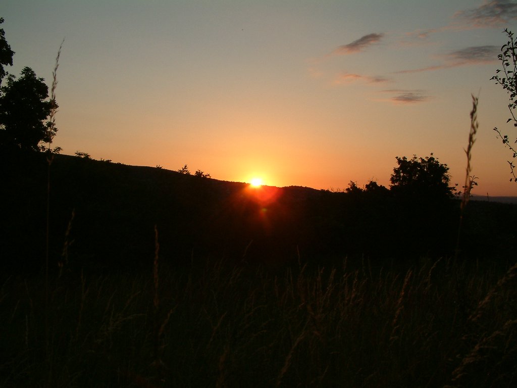 DSCF0229.JPG