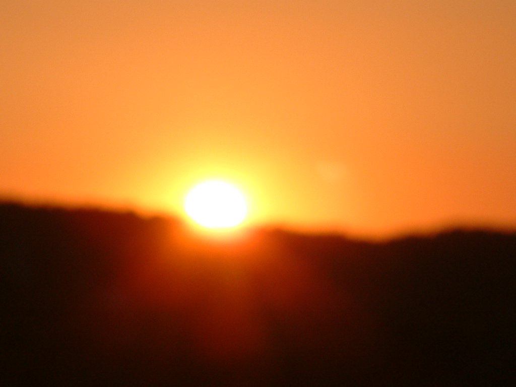 DSCF0231.JPG