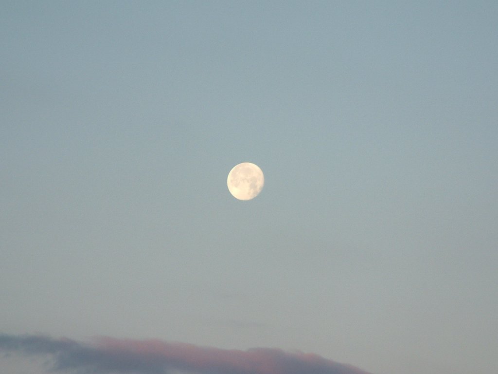 DSCF0232.JPG