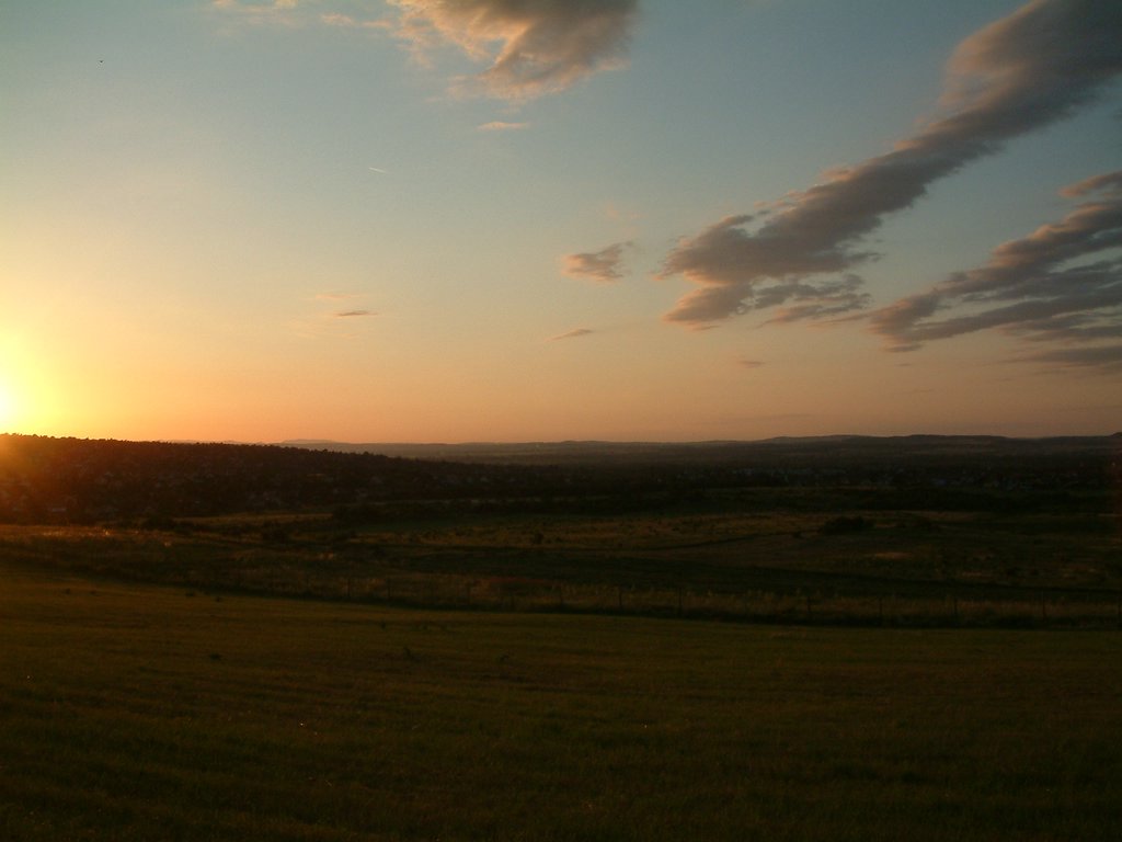 DSCF0234.JPG