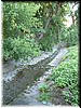 DSCF0158.JPG