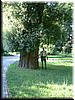 DSCF0160.JPG