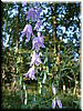 DSCF0169.JPG