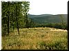 DSCF0170.JPG
