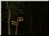 DSCF0197.JPG