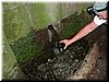 DSCF0213.JPG