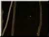 DSCF0216.JPG