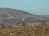 n_dscf0266.jpg