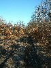 n_dscf0267.jpg