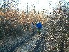 n_dscf0270.jpg