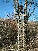 n_dscf0276.jpg