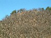 n_dscf0279.jpg