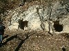 n_dscf0291.jpg