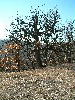n_dscf0293.jpg