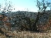 n_dscf0294.jpg