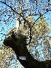 n_dscf0295.jpg