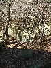 n_dscf0296.jpg