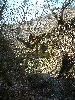 n_dscf0297.jpg