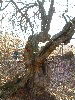 n_dscf0300.jpg