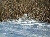 n_dscf0301.jpg