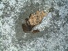 n_dscf0303.jpg