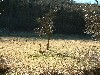 n_dscf0305.jpg