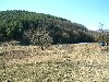 n_dscf0306.jpg