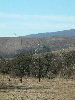 n_dscf0307.jpg