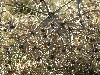 n_dscf0308.jpg