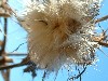 n_dscf0309.jpg