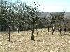 n_dscf0310.jpg