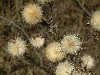 n_dscf0311.jpg