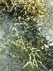 n_dscf0314.jpg