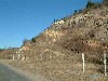 n_dscf0318.jpg