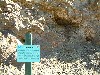 n_dscf0320.jpg
