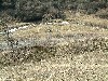n_dscf0324.jpg