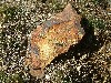 n_dscf0325.jpg