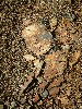 n_dscf0326.jpg