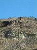 n_dscf0327.jpg