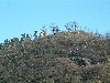 n_dscf0330.jpg
