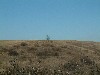 n_dscf0331.jpg