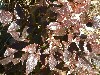 n_dscf0334.jpg
