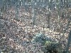 n_dscf0338.jpg