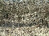 n_dscf0340.jpg