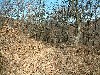 n_dscf0341.jpg
