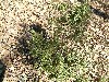 n_dscf0342.jpg