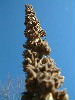 n_dscf0343.jpg
