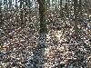 n_dscf0344.jpg