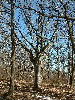 n_dscf0345.jpg