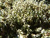 n_dscf0346.jpg